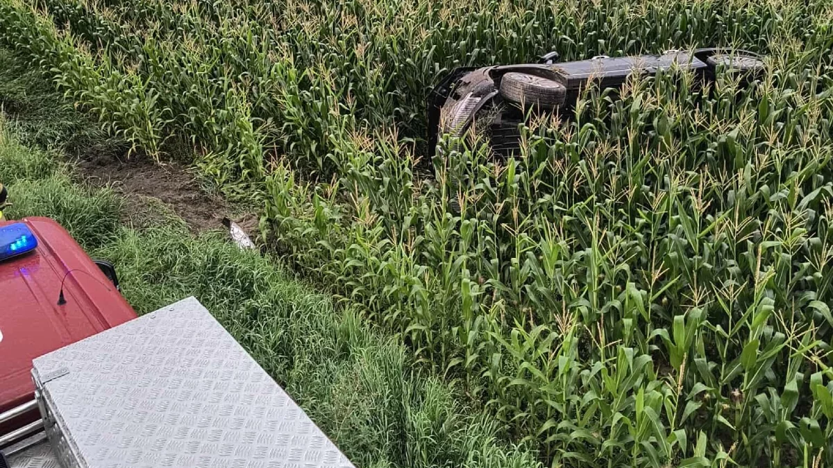 Dachowanie pojazdu w regionie. Jedna osoba poszkodowana [ZDJĘCIA]