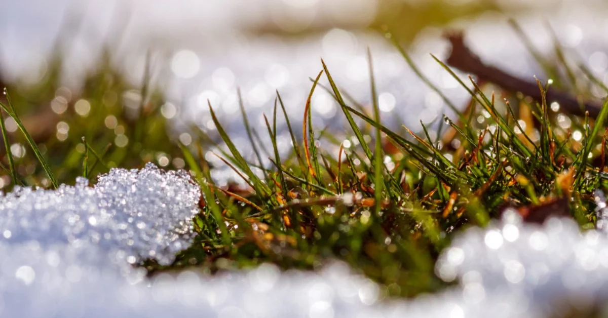 Zima odchodzi, problem zostaje. Topniejący śnieg odsłania śmierdzące niespodzianki