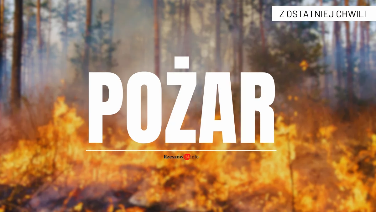 Autobus stanął w płomieniach. Droga całkowicie zablokowana