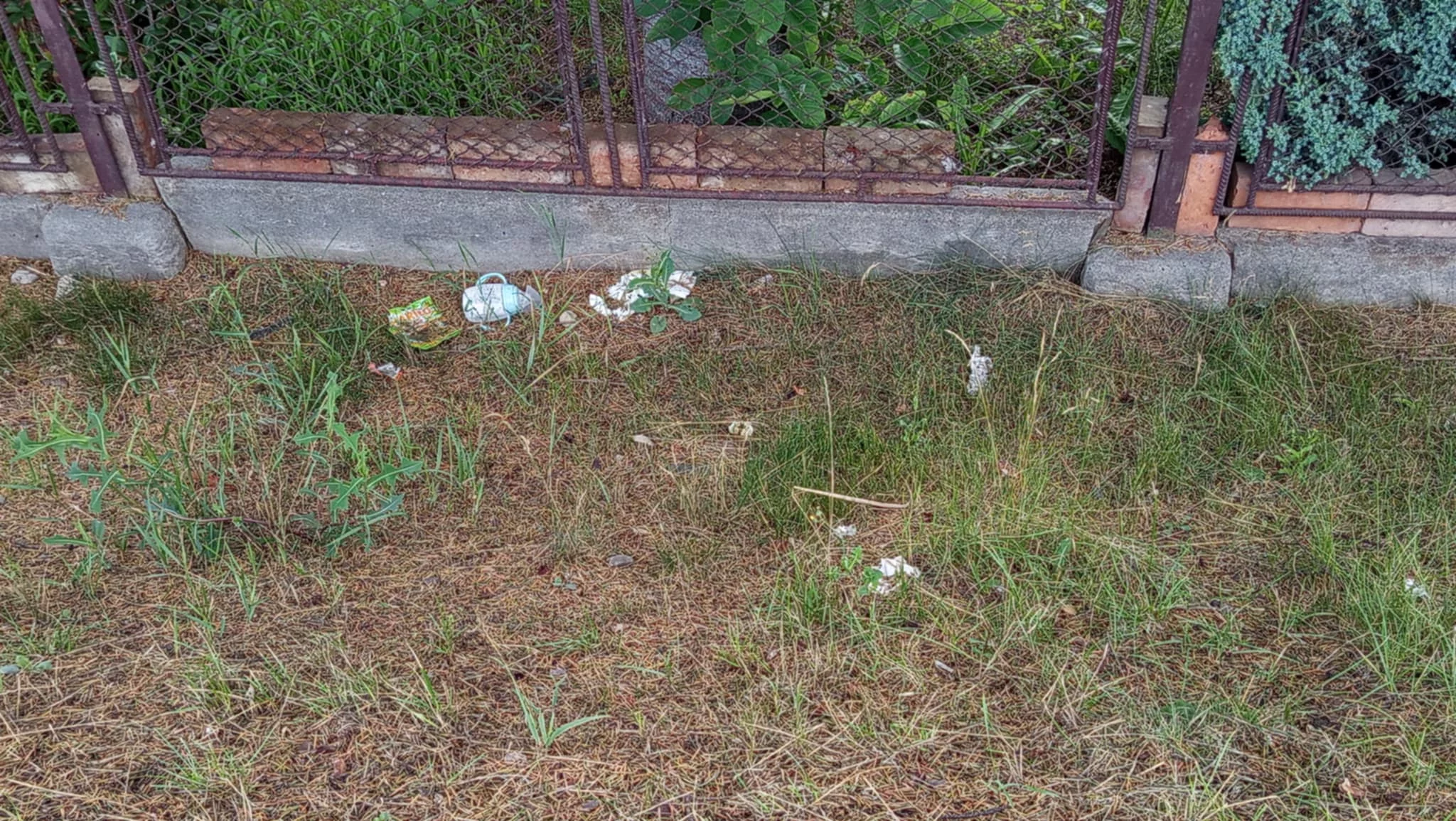 Małpki, kartony i kubki niekapki – codzienny widok przy głównej drodze [ZDJĘCIA]
