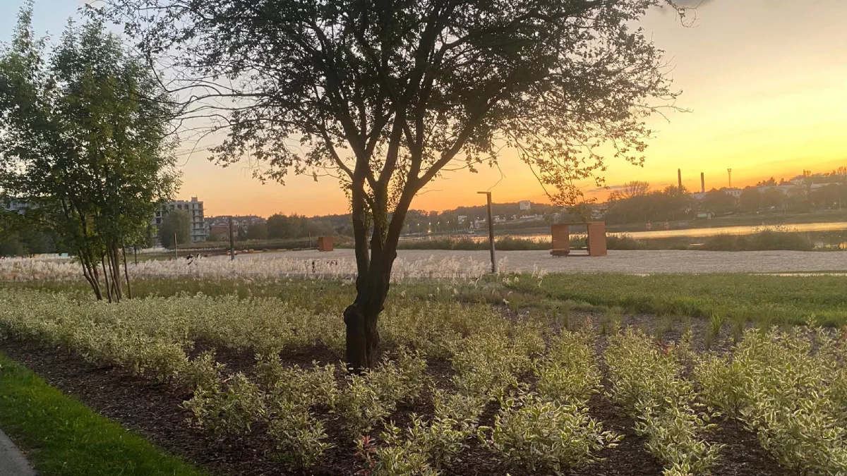 Tak wygląda plaża miejska w Rzeszowie o zachodzie jesiennego słońca. Ten widok zapiera dech w piersiach [ZDJĘCIA]