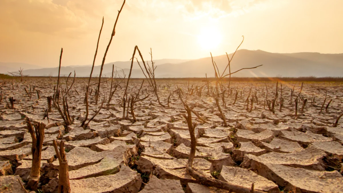 Susza w regionie. IMGW ostrzega Rzeszów i powiat rzeszowski