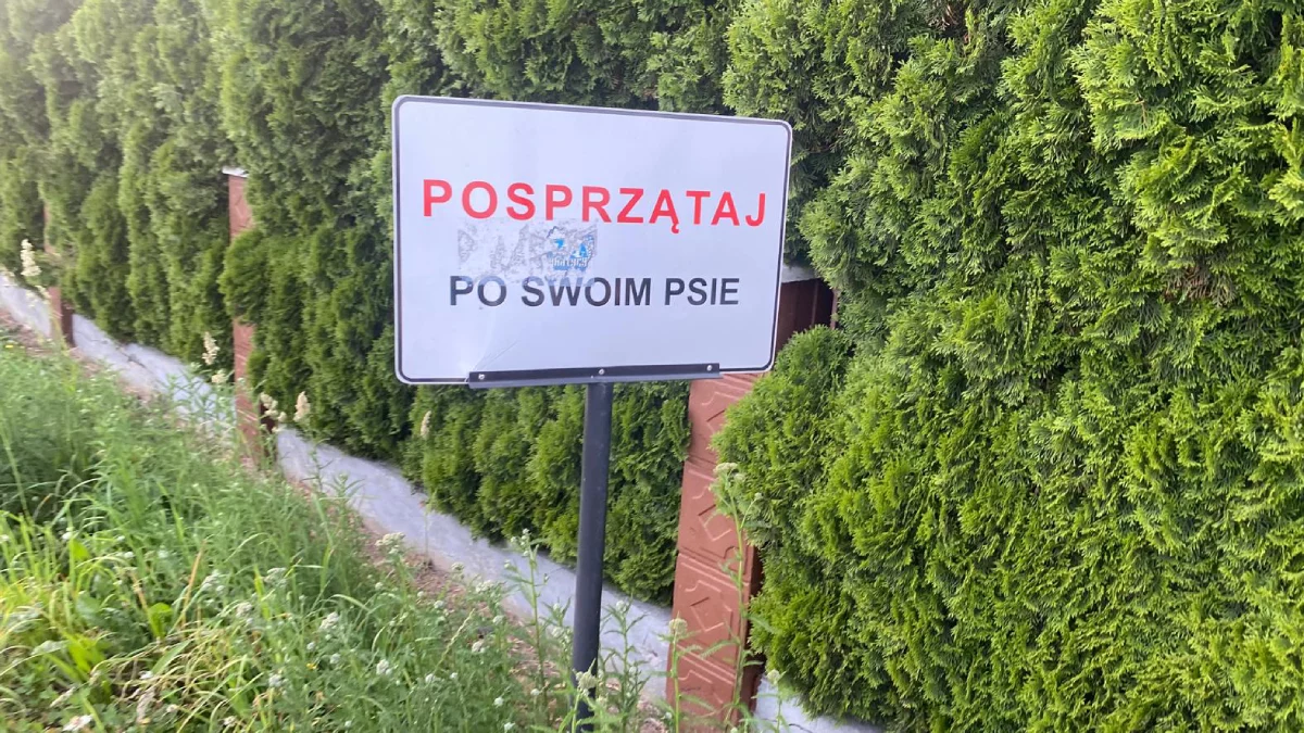 Właścicielu, posprzątaj po swoim psie. Rzeszów tonie w odchodach!