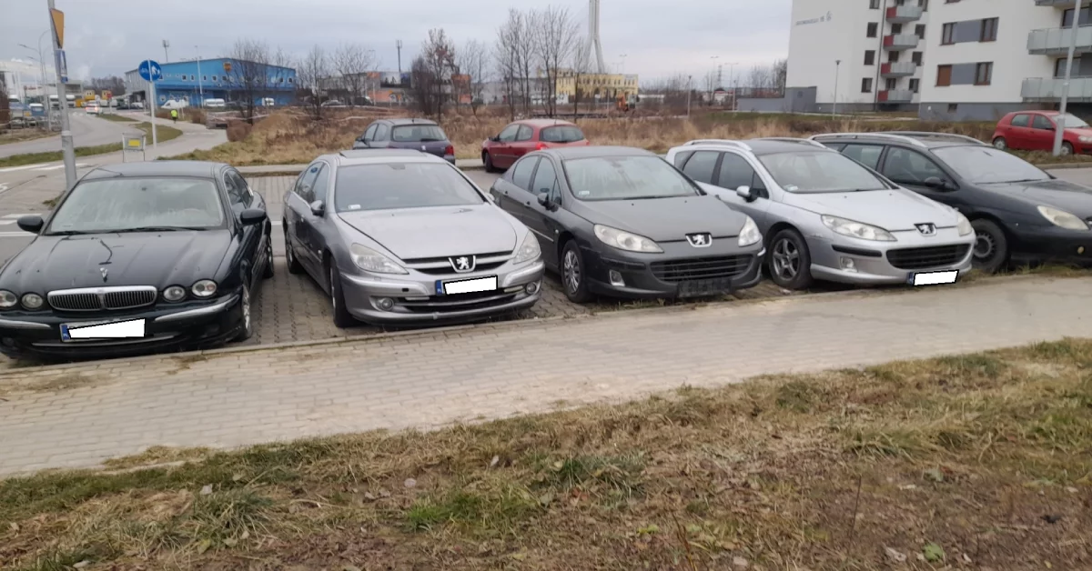 W wigilijną noc zdewastowali samochody na ulicy Gromskiego w Rzeszowie. Co tam się wydarzyło? [ZDJĘCIA]