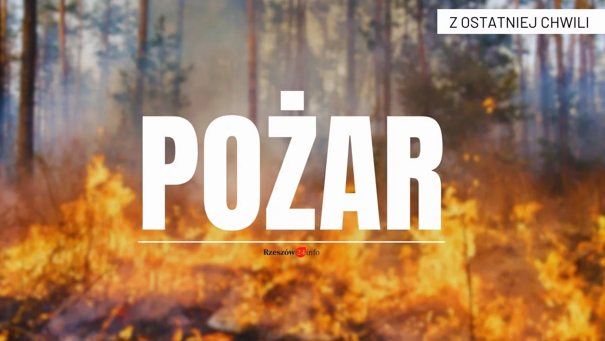 Pożar budynku w regionie. Droga krajowa 19 zablokowana