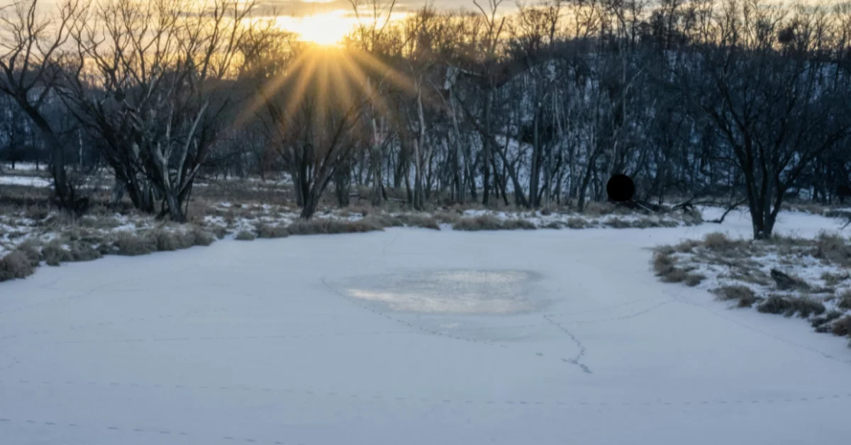 Wchodzą na zamarzniętą taflę wody w Rzeszowie. Policja apeluje o rozsądek i bezpieczeństwo