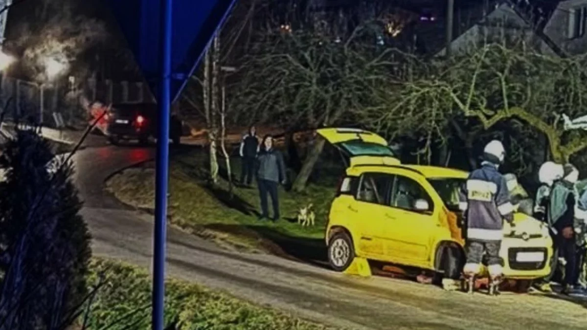 Śmiertelne potrącenie pod Rzeszowem. Wiemy jak do tego doszło