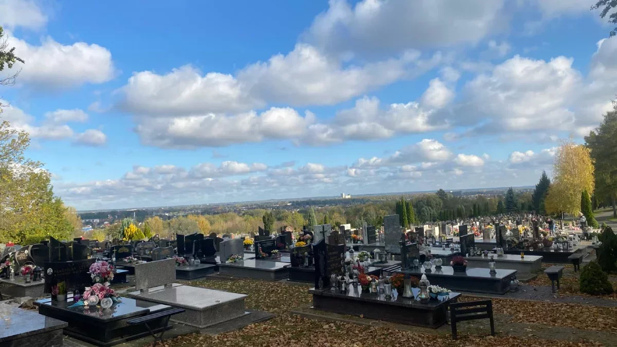 Za darmo meleksem po cmentarzu komunalnym Wilkowyja w Rzeszowie