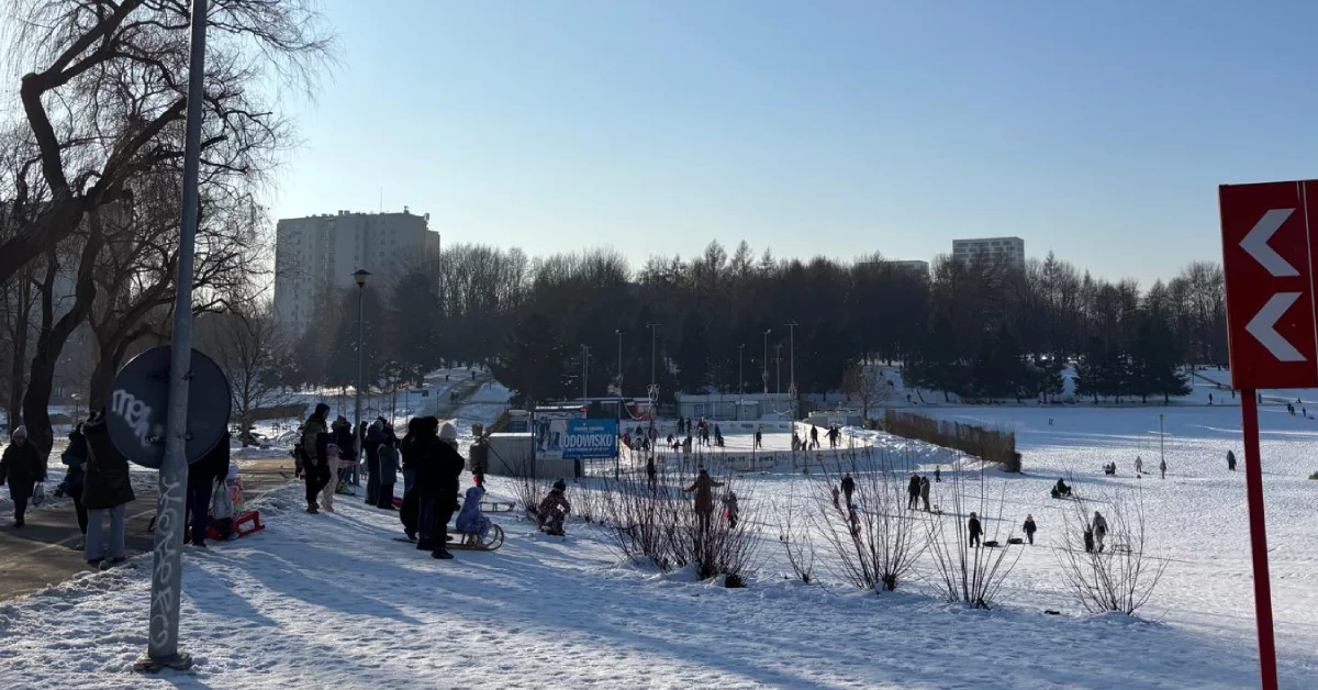 Saneczkowe szaleństwo w Parku Sybiraków w Rzeszowie. Tak bawili się mieszkańcy! [ZDJĘCIA]