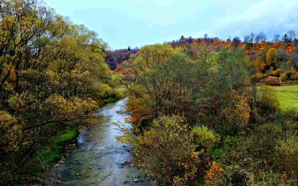 Kolorowe Bieszczady