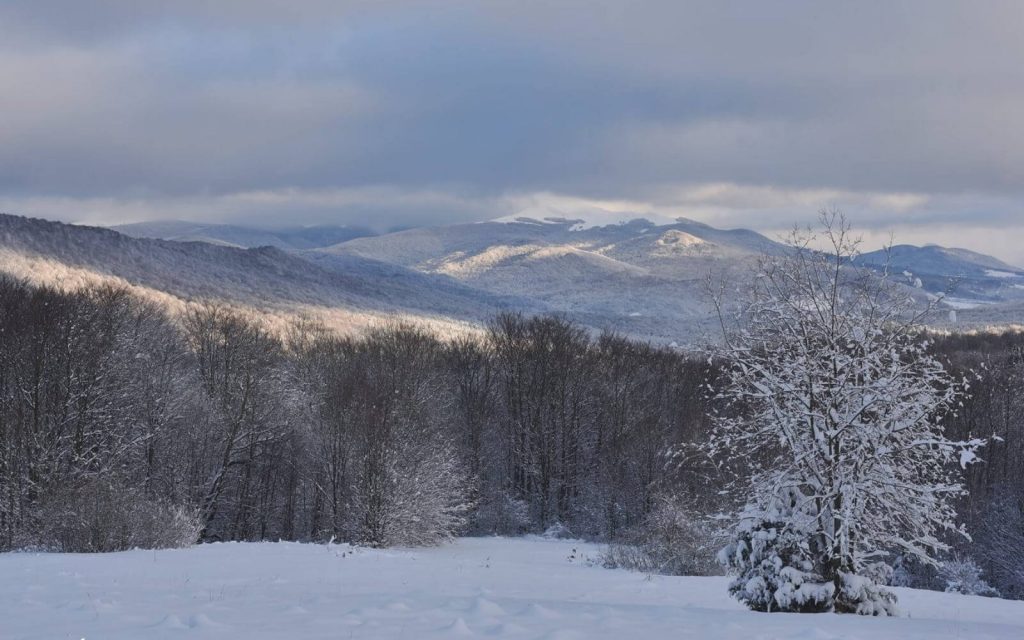 Bieszczady w zimowej szacie