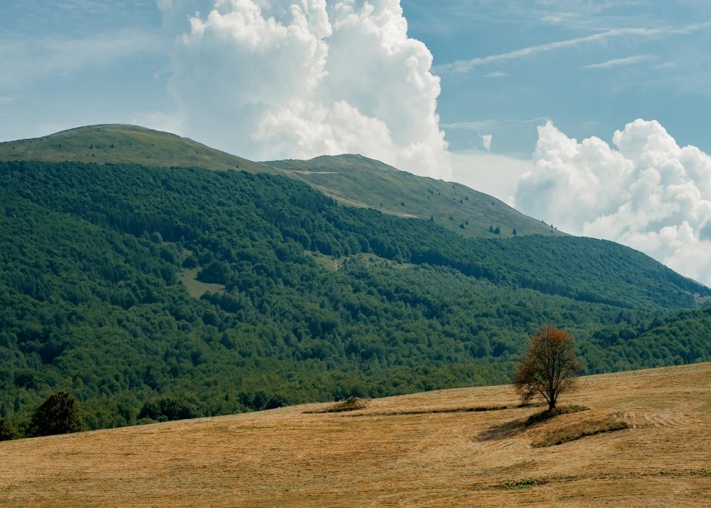 bieszczady-połoniny