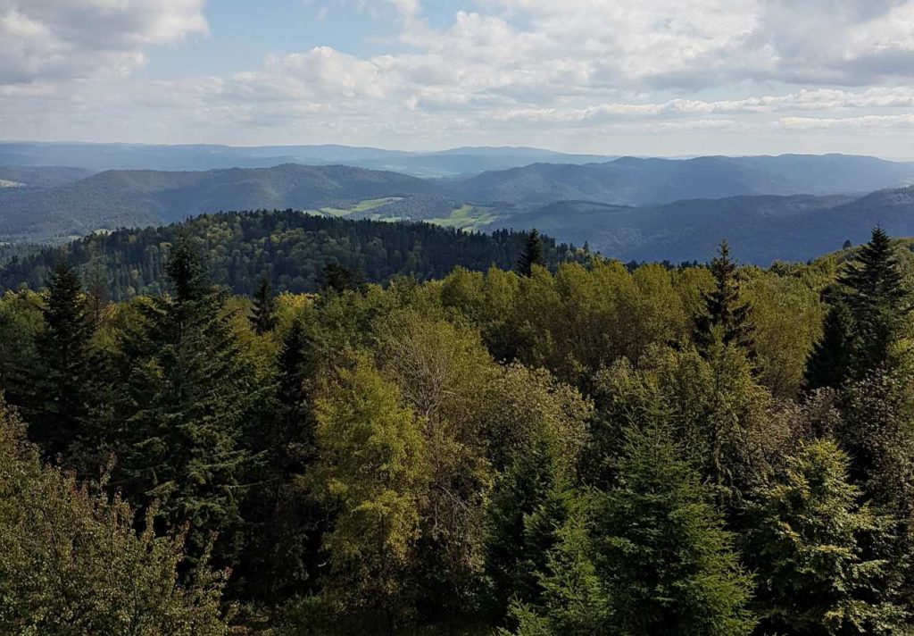 Widok z wieży na Korbani