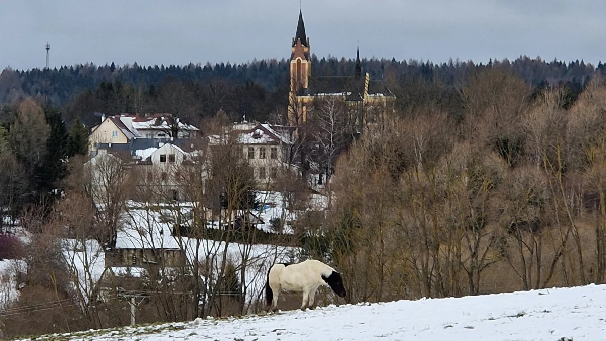 Pogoda Bieszczady. Prognoza na dziś. Czwartek 4 grudnia