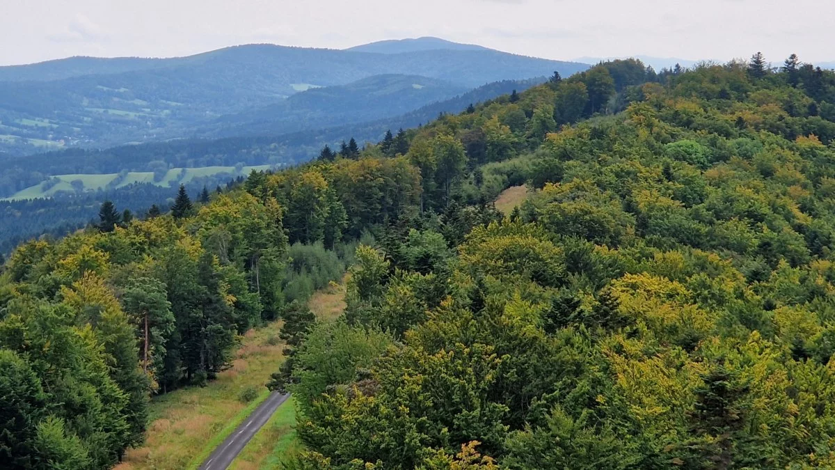 Pogoda Bieszczady. Prognoza na dziś. Czwartek 25 września