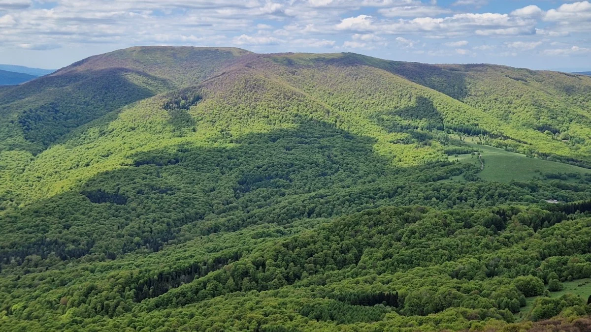 Pogoda Bieszczady. Prognoza na dziś. Środa 28 maja