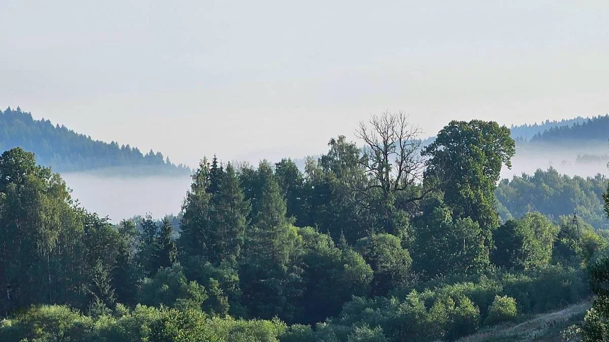 Pogoda Bieszczady. Prognoza na dziś. Niedziela 19 lipca
