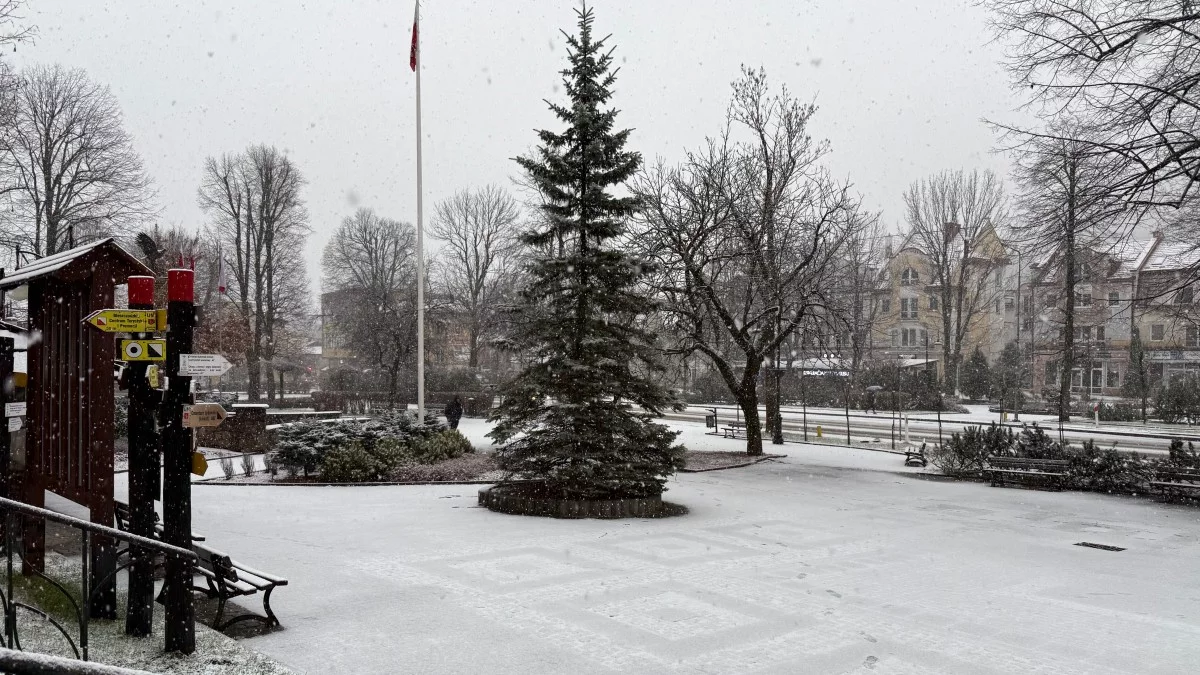 Bieszczady obudziły się dziś pod warstwą śniegu. To pierwszy taki opad [ZDJĘCIA, WIDEO]