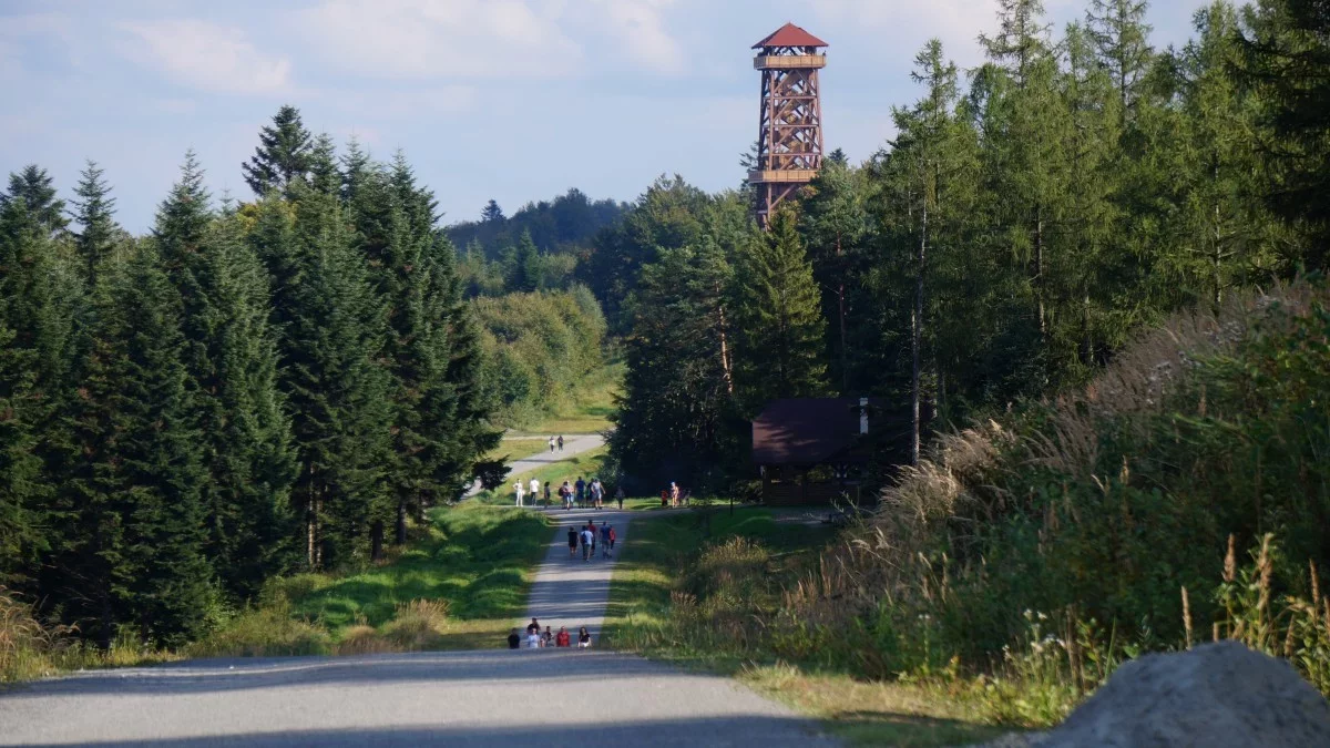 Łatwa ścieżka i wieża widokowa. Pomysł na spacer dla wszystkich
