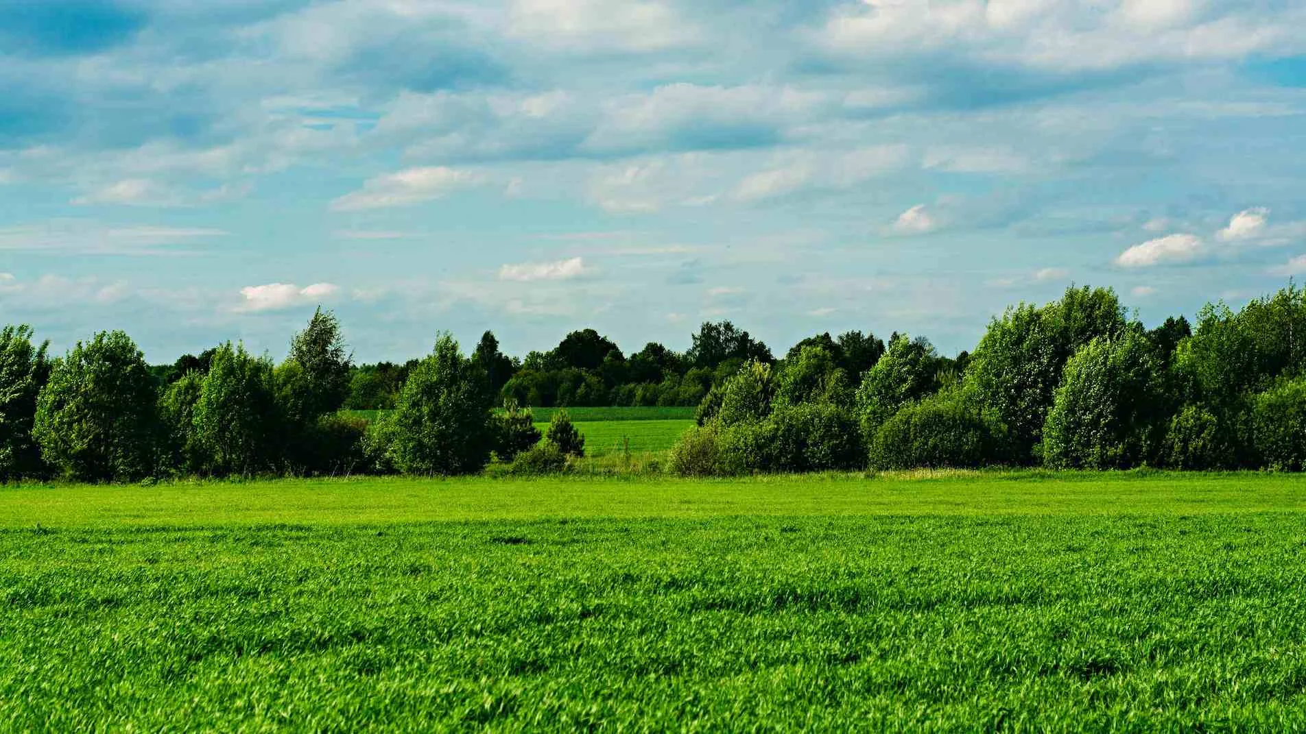 Analiza działki - jakie informacje sprawdzić przed zakupem?