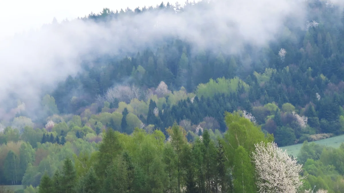 Bieszczady. Pogoda i warunki górskie na dziś. Czwartek, 18 kwietnia