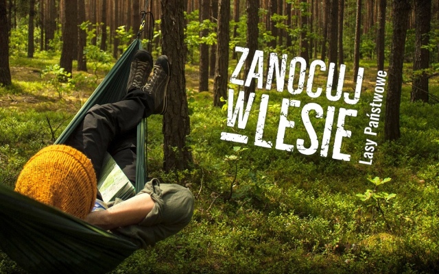 Zanocuj_w_lesie