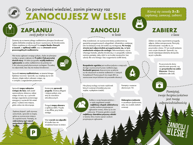 Zanim zanocujesz w lesie