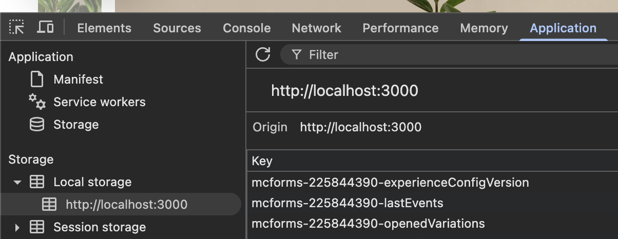 Mailchimp localstorage values