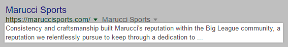 Google uses a page's meta description in search engine results