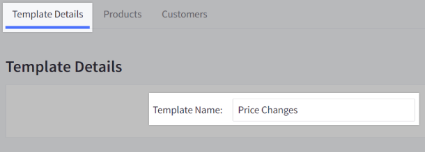 Template Details tab and Template Name highlighted in the Create/Copy Export Template screen