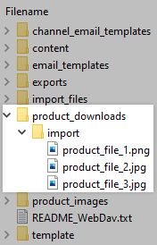 Add your product files to product_downloads/import in WebDAV.