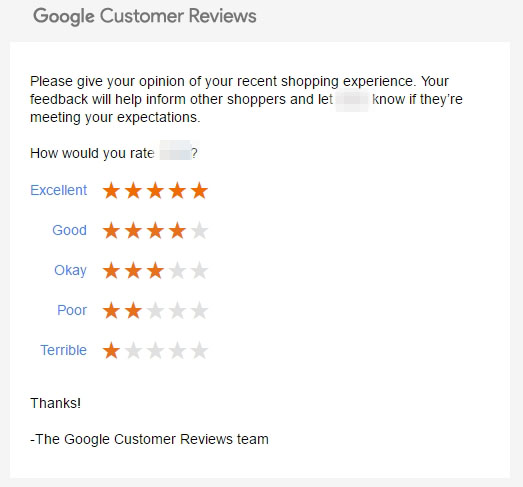 Example Google Customer Review email