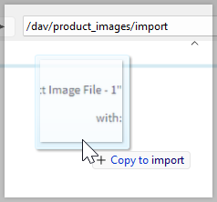 Dragging and dropping an image into the import folder of WebDAV