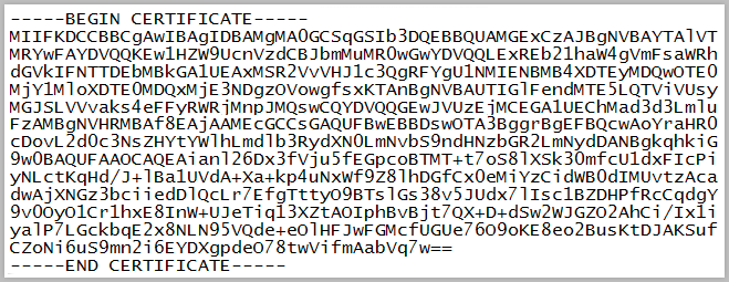 Example certificate as seen in a text editor.
