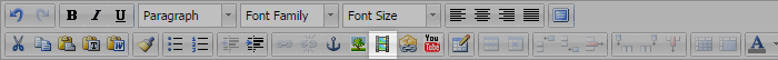 The Insert/Edit Embedded Media button