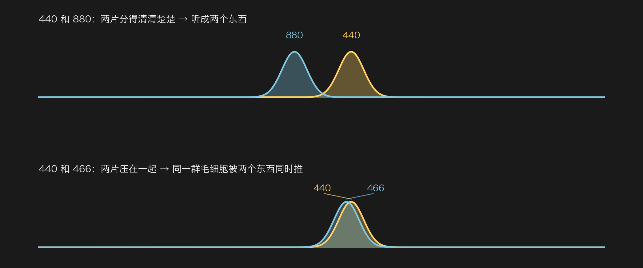 膜上的两片