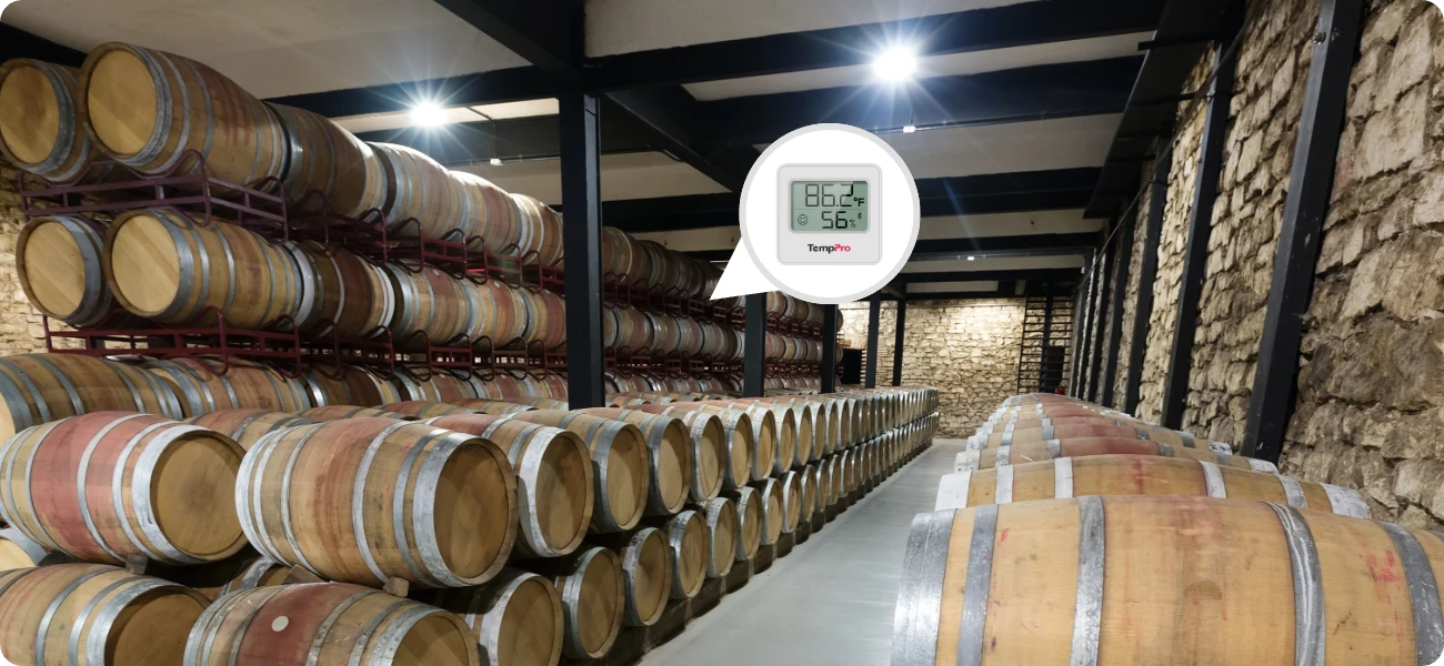 ThermoPro vnitřní digitální Bluetooth vlhkoměr a teploměr TP-357