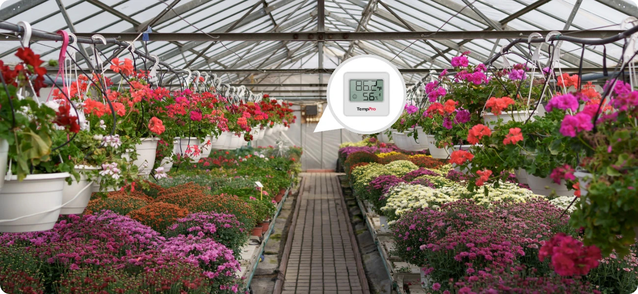 ThermoPro vnitřní digitální Bluetooth vlhkoměr a teploměr TP-357