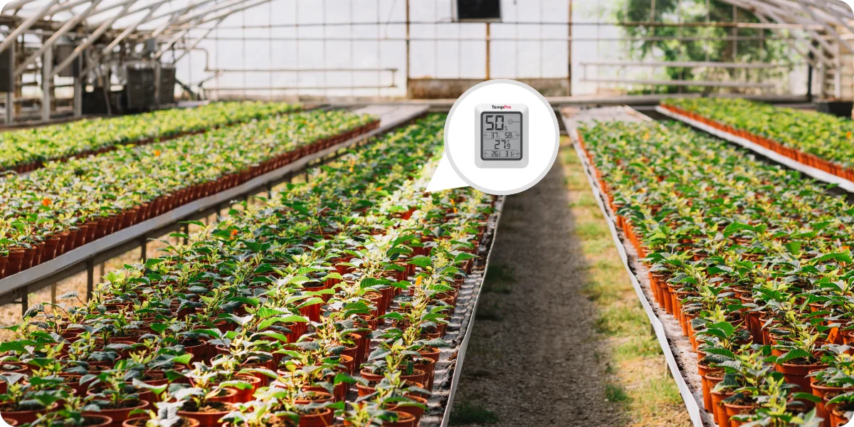 ThermoPro digitální teploměr s měřením vlhkosti TP-50