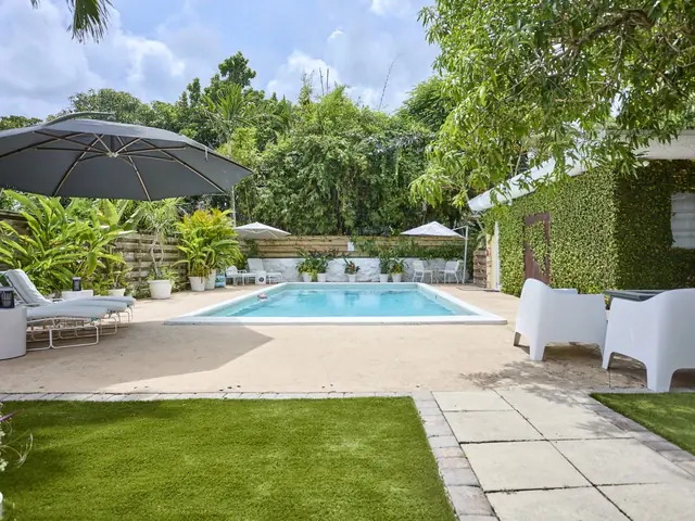 Miami Pool Oasis: Pool, lounge chairs and backyard