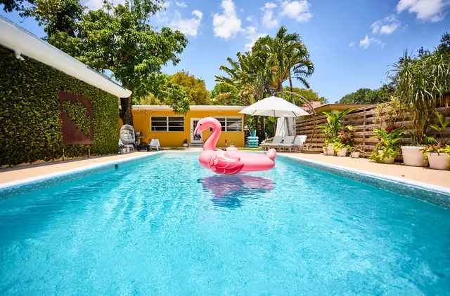 Miami Pool Oasis: Pool with flamingo float
