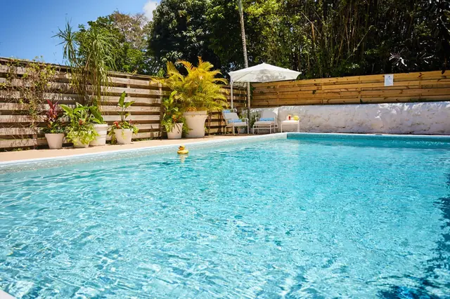 Miami Pool Oasis: Pool and loungers