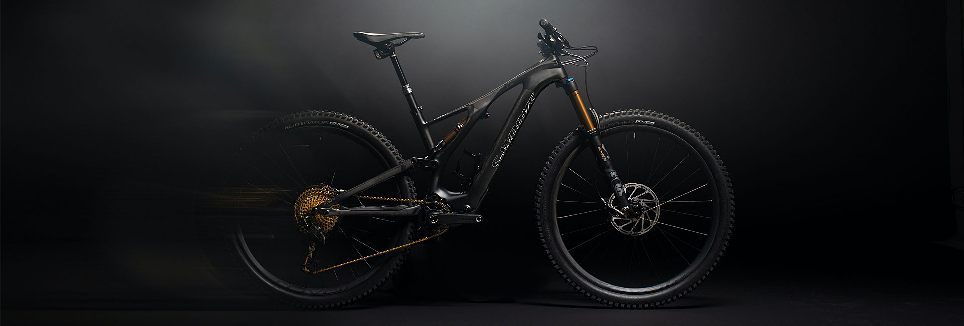 Specialized Levo E-Bike