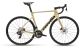 Cervelo Soloist Rival Etap AXS Rennrad 2023 Gold Dust