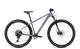 Cube Access WS SLX MTB Hardtail 2024 grey n silver