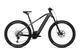 Cube Reaction Hybrid SLT 750 E-Bike MTB 2024 prizmsilver n grey