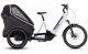 Cube Trike Hybrid Family 750 flashwhite'n'reflex Trekking E-Bike 2024 