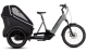 Cube Trike Hybrid Family 750 swampgrey'n'reflex Trekking E-Bike 2024 