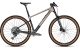 Focus Raven 8.9 Silver / Carbon raw MTB Hardtail 2023 