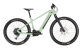 HoheAcht Sento Lumo E-Bike MTB 2022 Binsengras